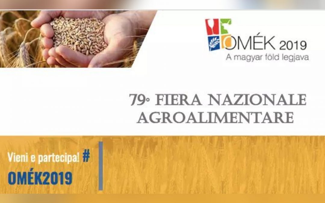 OMÉK 2019